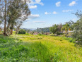  Land for Sale in Castaic, California
