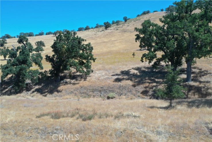 Land for Sale in Tehachapi, California