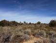  Land for Sale in Phelan, California