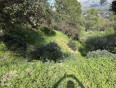  Land for Sale in Tujunga, California