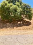  Land for Sale in Val Verde, California