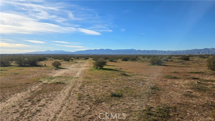  Land for Sale in California City, California