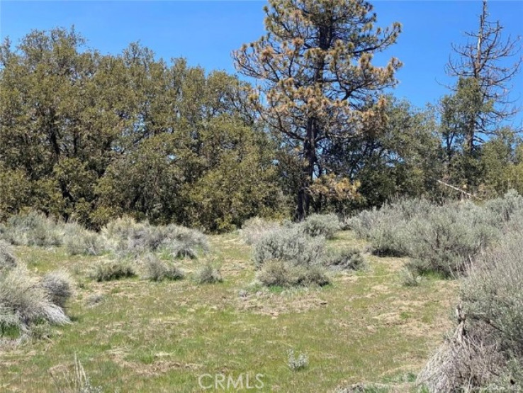  Land for Sale in Tehachapi, California