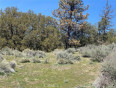  Land for Sale in Tehachapi, California