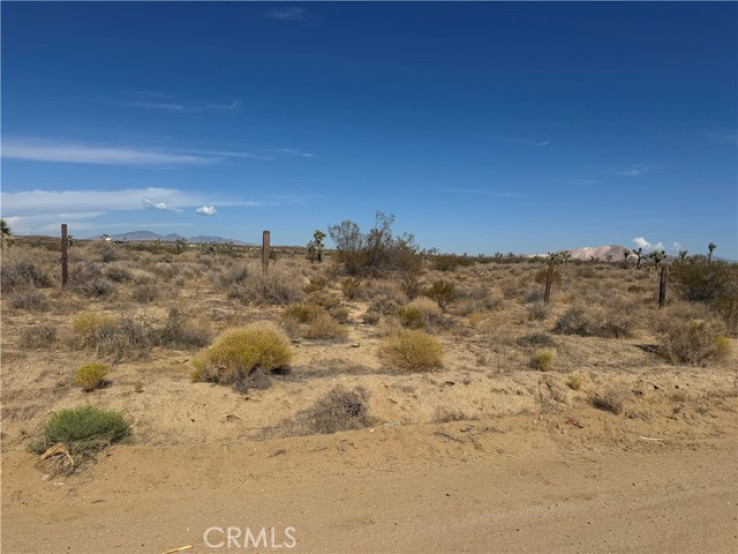  Land for Sale in Rosamond, California