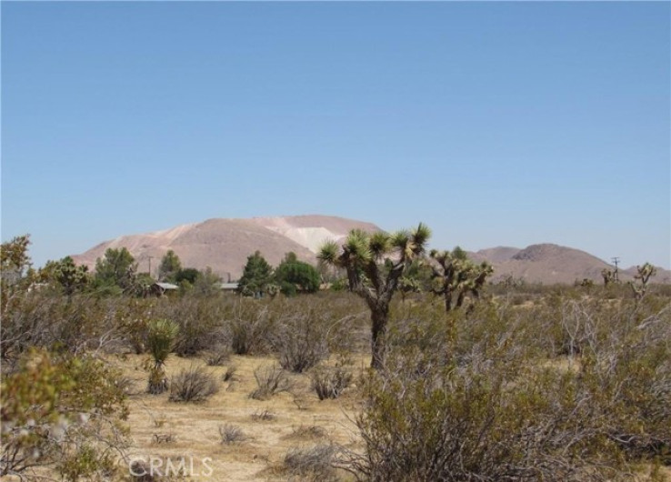  Land for Sale in Mojave, California