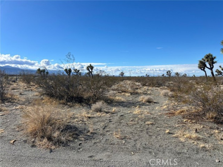 Land in Pinon Hills