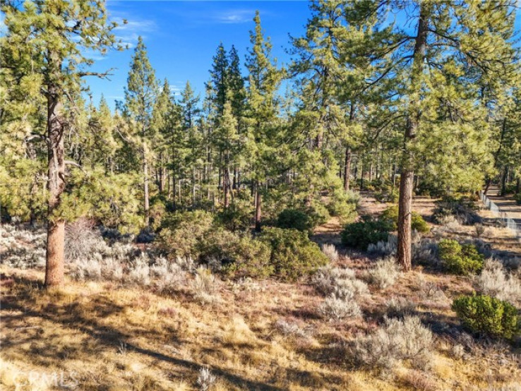  Land for Sale in Mountain Center, California