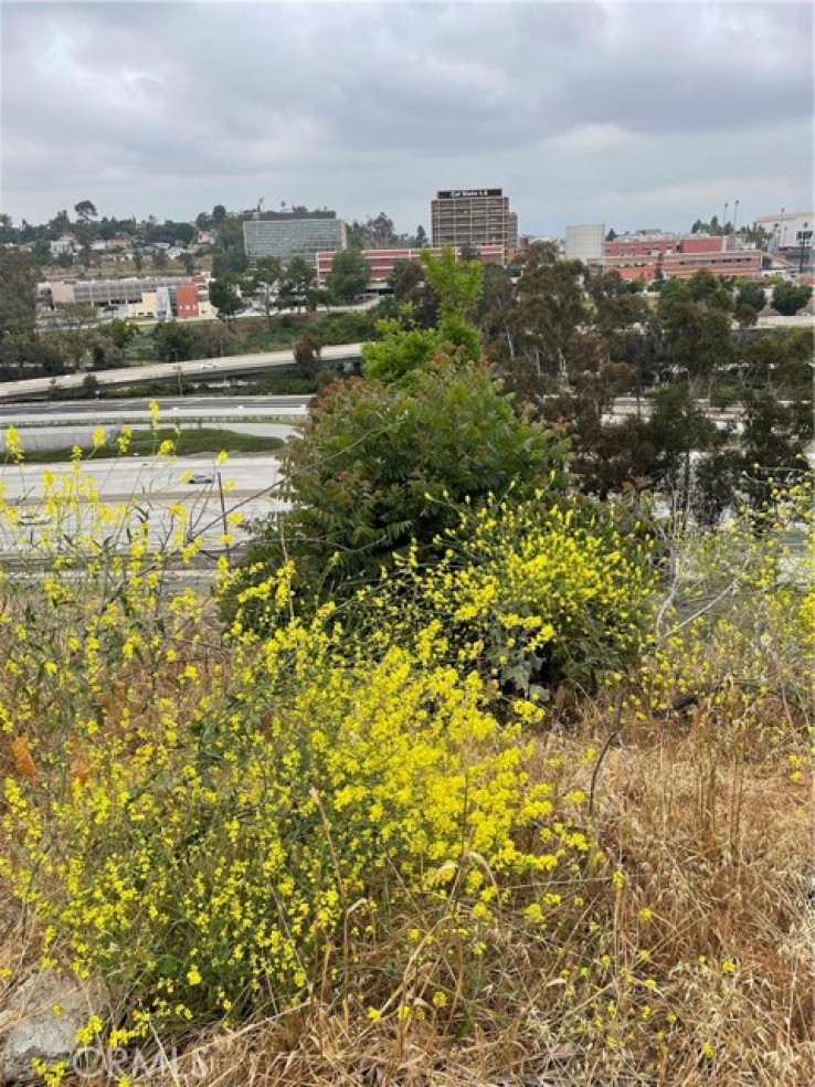  Land for Sale in Los Angeles, California