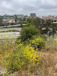  Land for Sale in Los Angeles, California