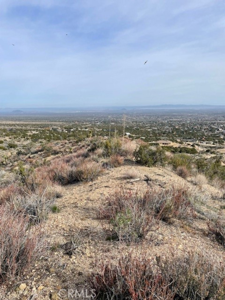  Land for Sale in Pinon Hills, California