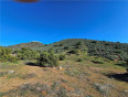  Land for Sale in Agua Dulce, California