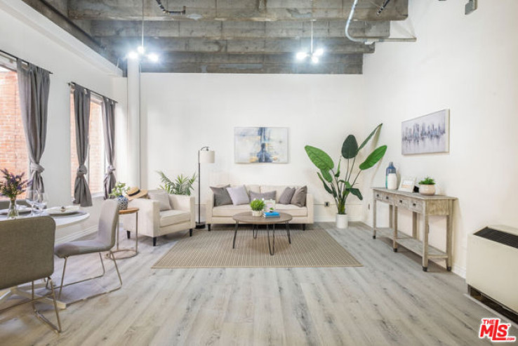 Residential Home in Downtown L.A.