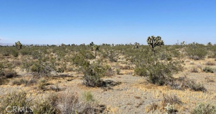  Land for Sale in Llano, California