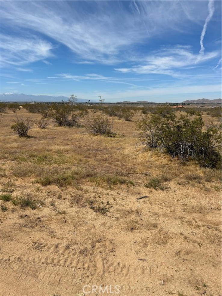  Land for Sale in Apple Valley, California