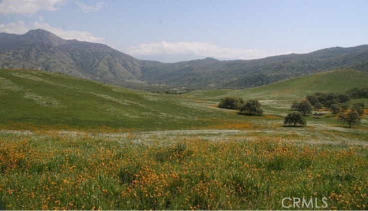  Land for Sale in Unknown, California