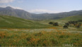 Land for Sale in Unknown, California