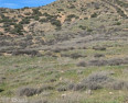  Land for Sale in Palmdale, California