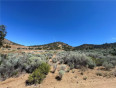  Land for Sale in Acton, California