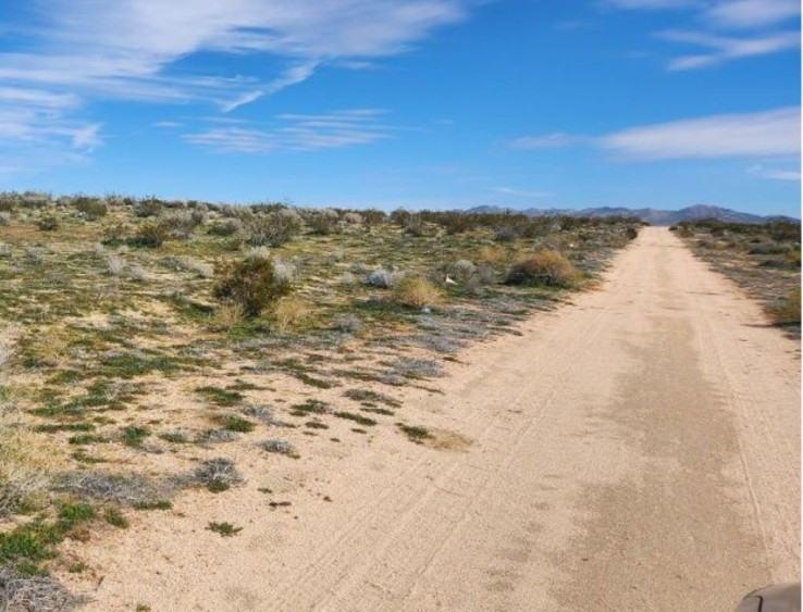  Land for Sale in Adelanto, California