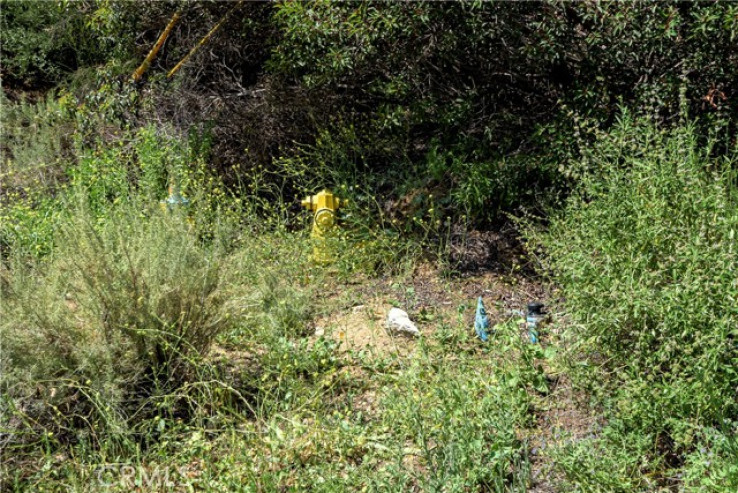  Land for Sale in Tujunga, California