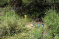  Land for Sale in Tujunga, California