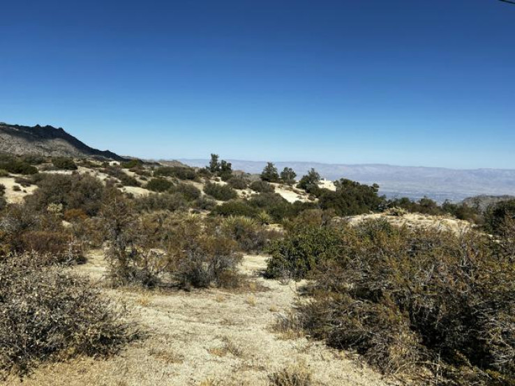  Land for Sale in Mountain Center, California