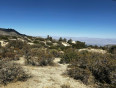  Land for Sale in Mountain Center, California