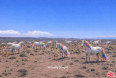  Land for Sale in California City, California