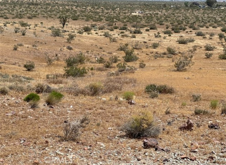  Land for Sale in Mojave, California