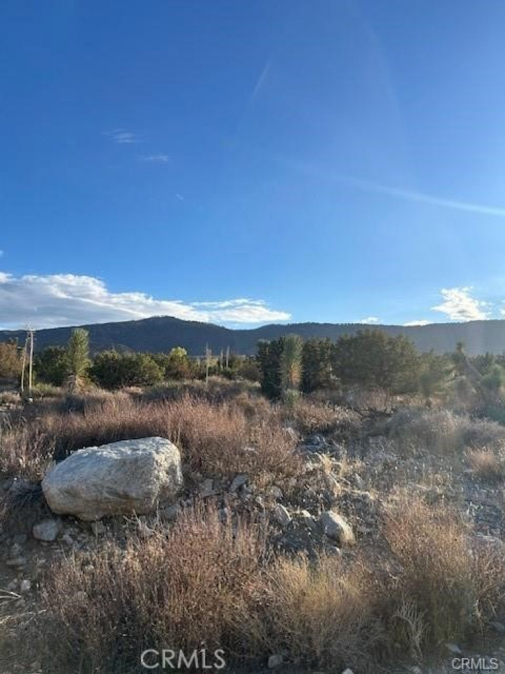  Land for Sale in Pinon Hills, California