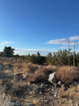  Land for Sale in Pinon Hills, California