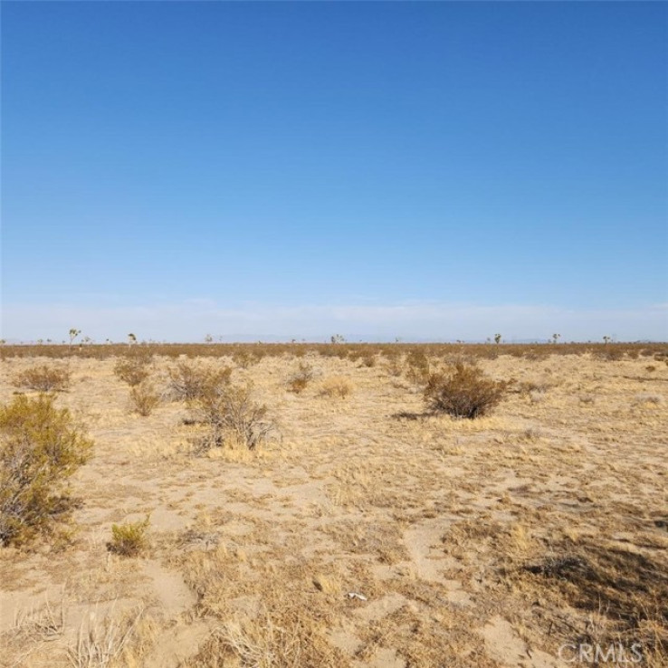  Land for Sale in Phelan, California