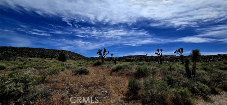  Land for Sale in Littlerock, California