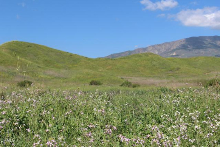  Land for Sale in Santa Paula, California