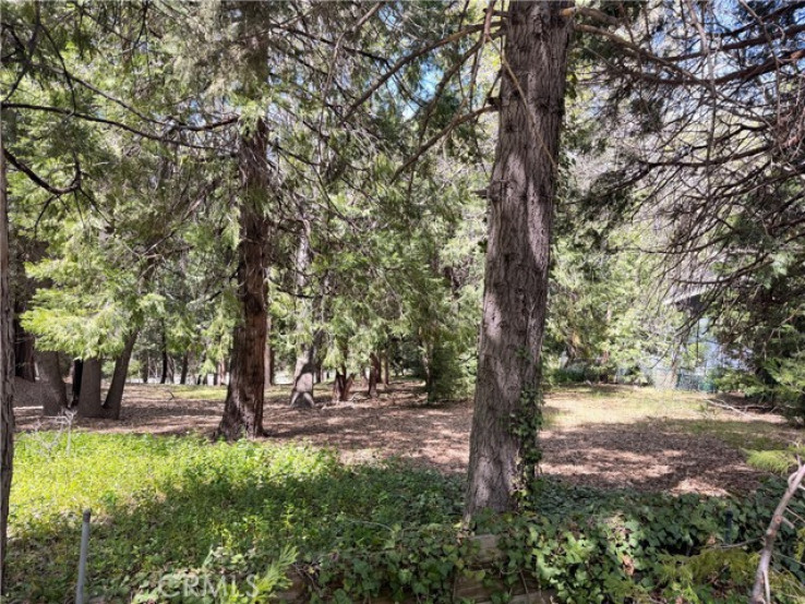  Land for Sale in Lake Arrowhead, California