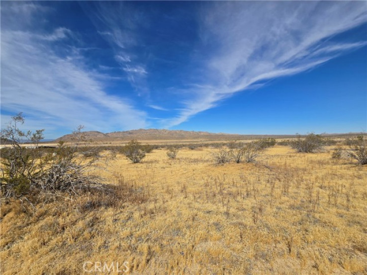  Land for Sale in Apple Valley, California