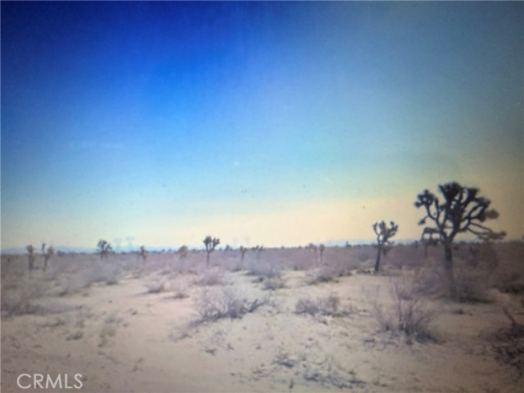  Land for Sale in Phelan, California