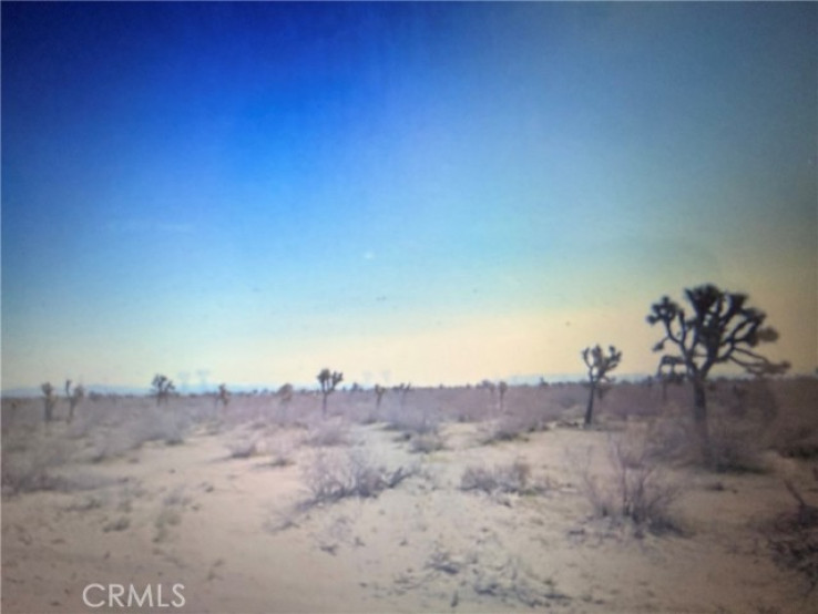  Land for Sale in Phelan, California