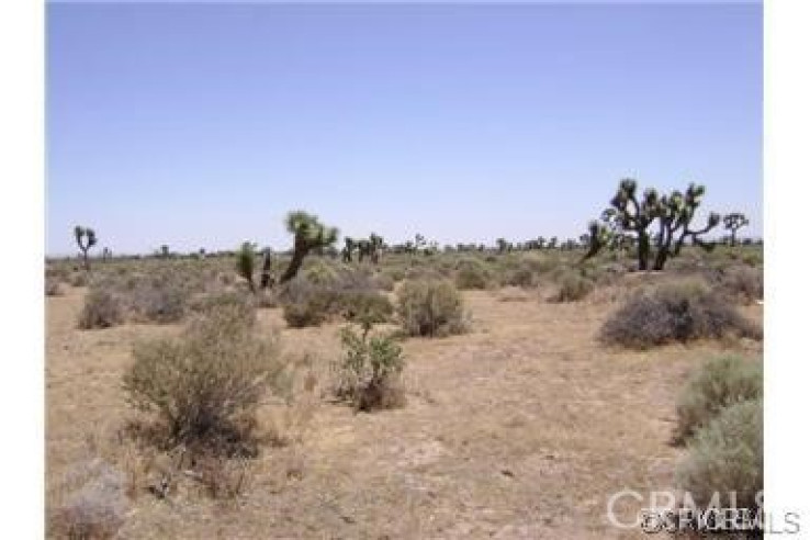  Land for Sale in Palmdale, California