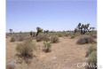  Land for Sale in Palmdale, California