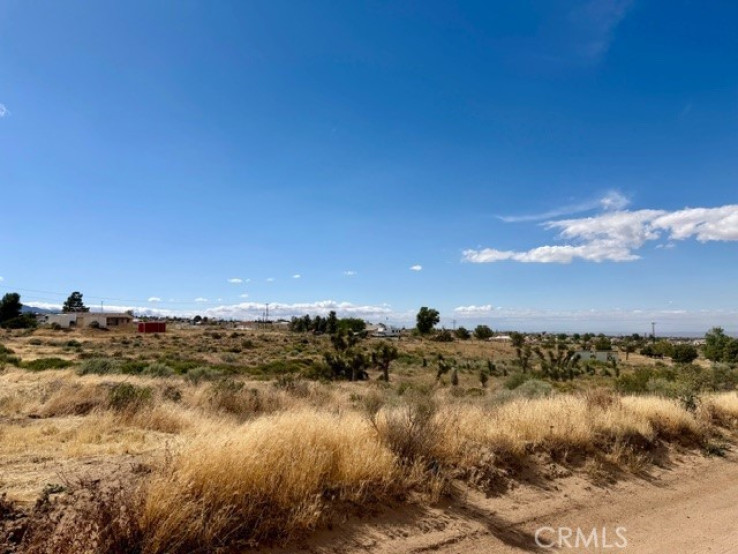  Land for Sale in Phelan, California