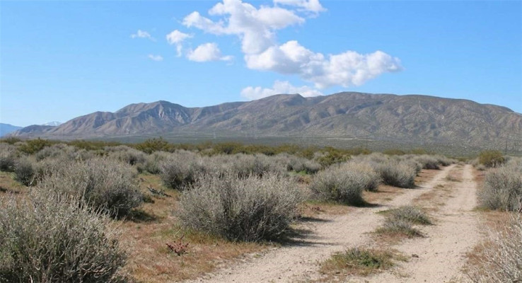  Land for Sale in Mojave, California