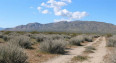  Land for Sale in Mojave, California