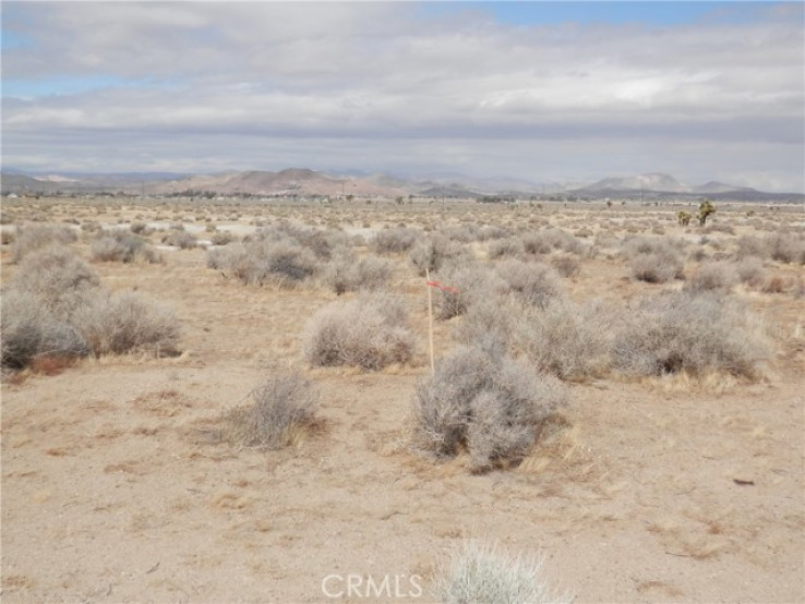 Land in Rosamond