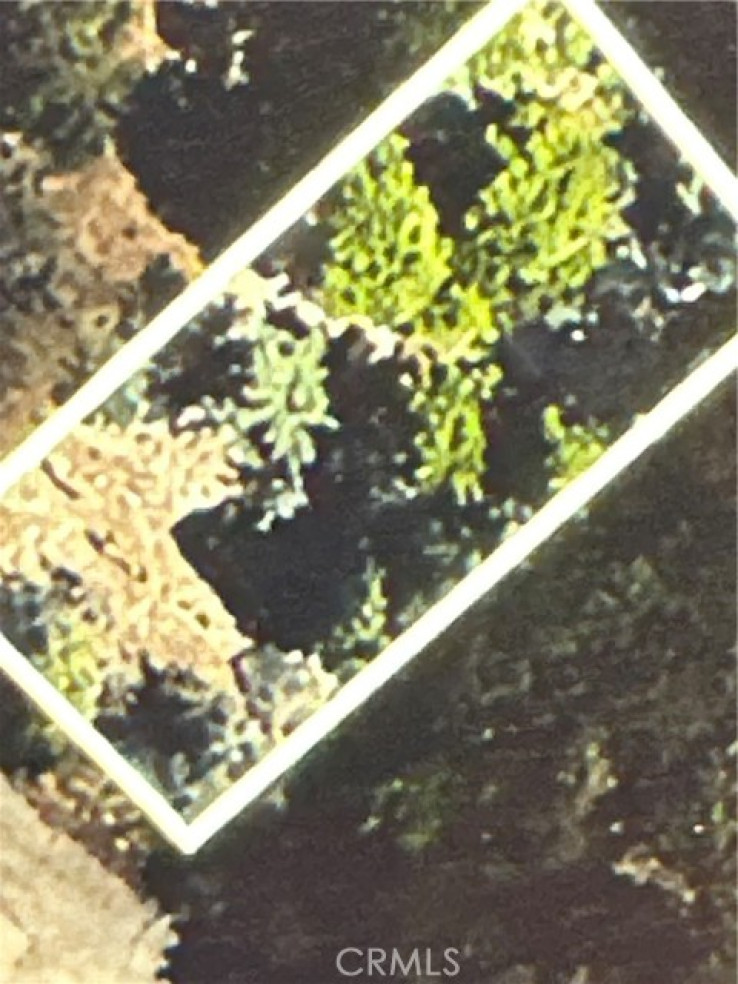  Land for Sale in Lake Arrowhead, California
