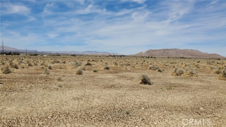  Land for Sale in Rosamond, California