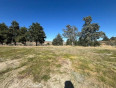  Land for Sale in Leona Valley, California