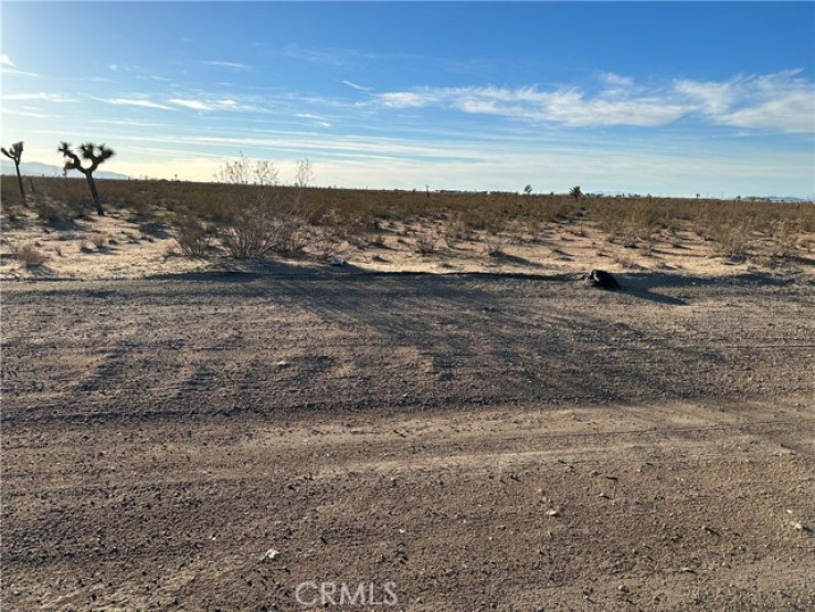  Land for Sale in Adelanto, California