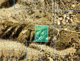  Land for Sale in Pinon Hills, California